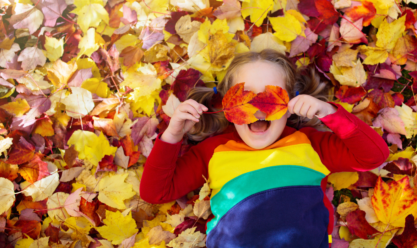 Girl in fall leaves Girl in fall leaves
