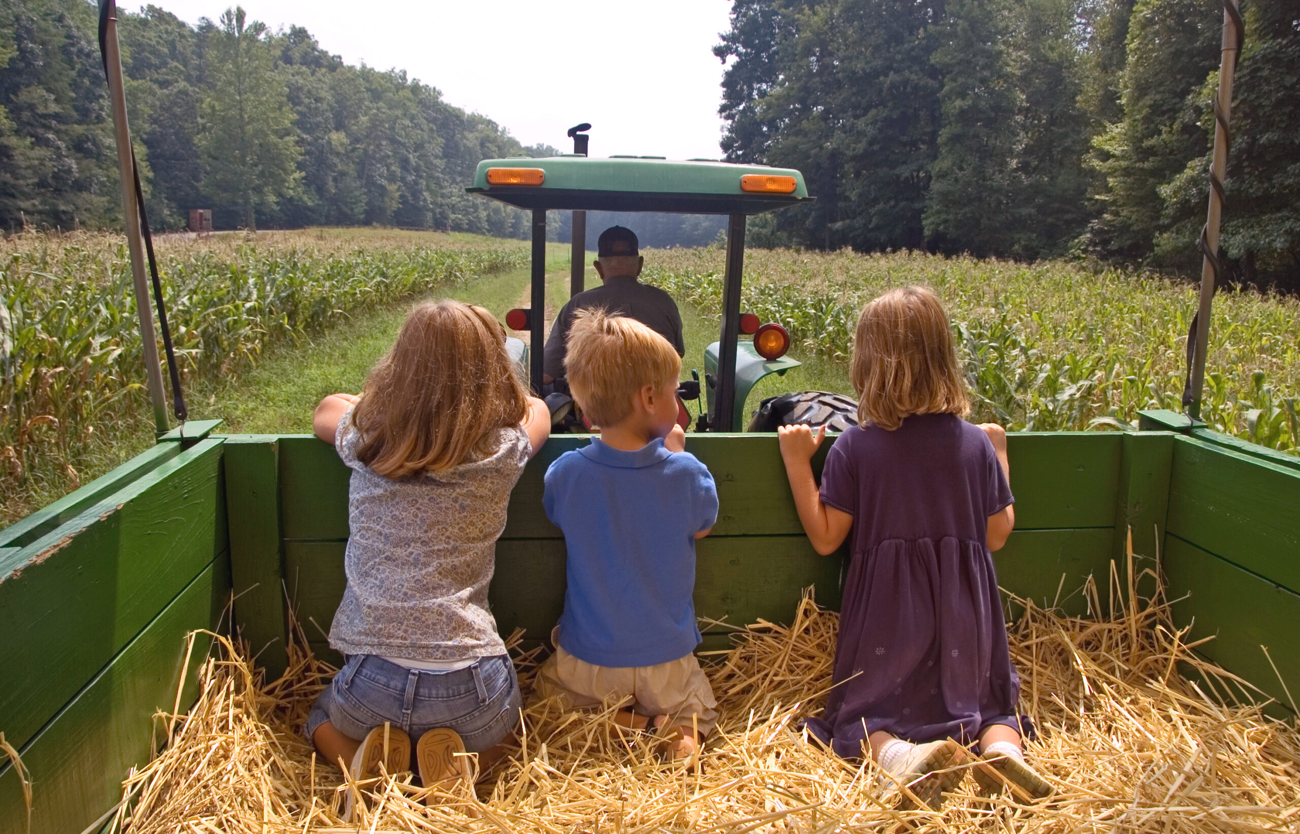 hayride hayride