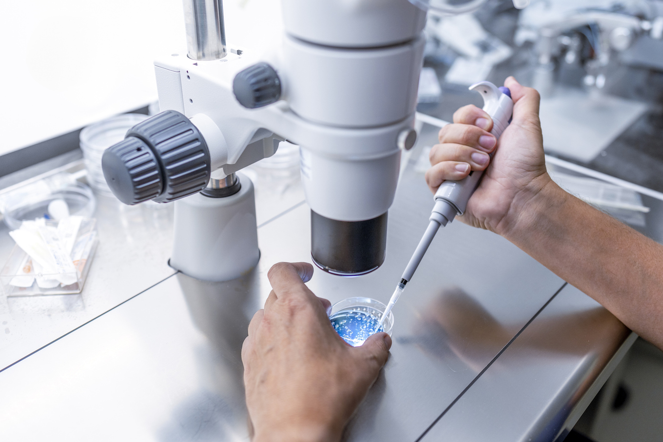 Close up In the fertility laboratory the Doctor preparing embryo cultivation plates Close up In the fertility laboratory the Doctor preparing embryo cultivation plates