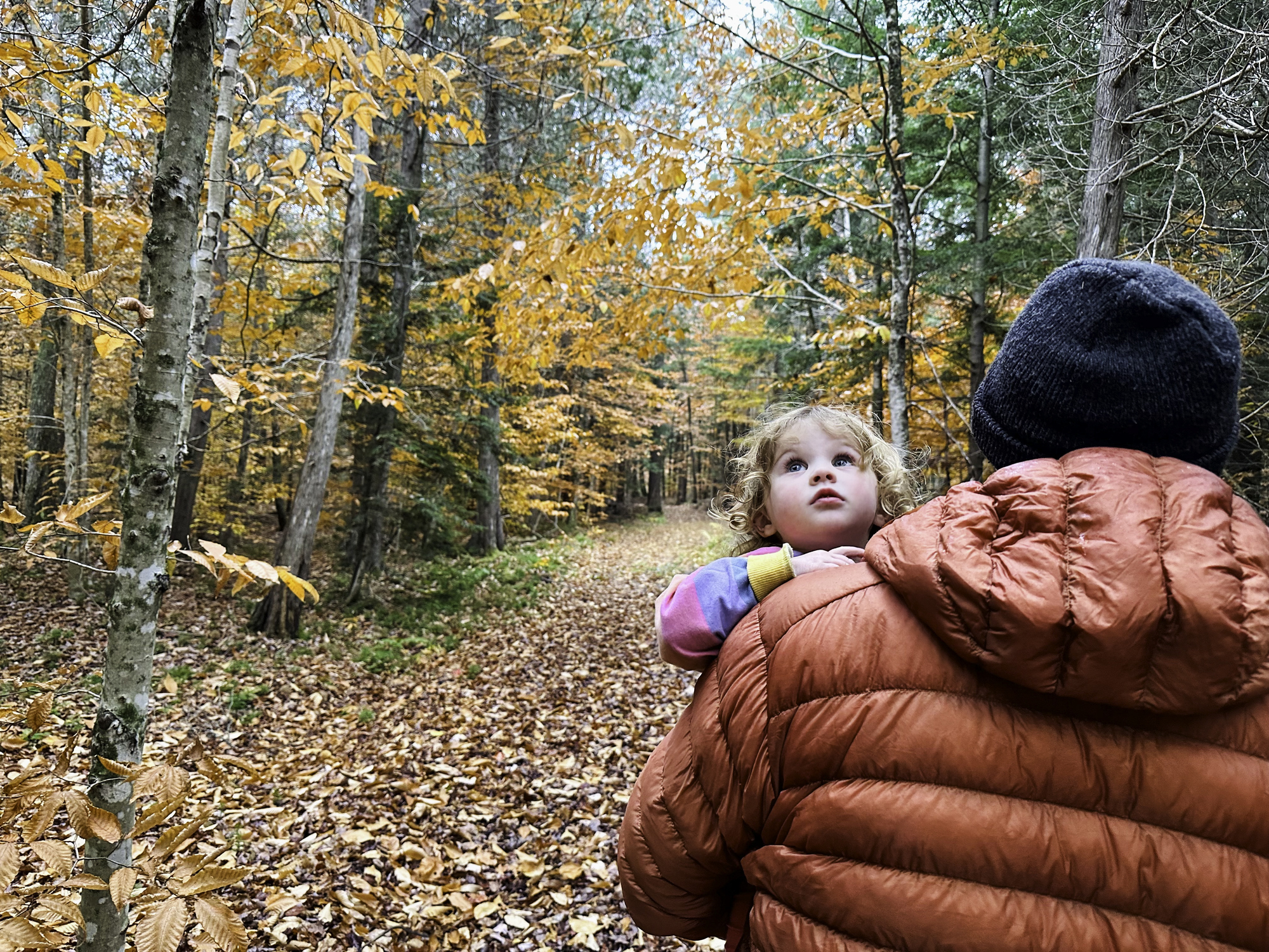 fall hike fall hike