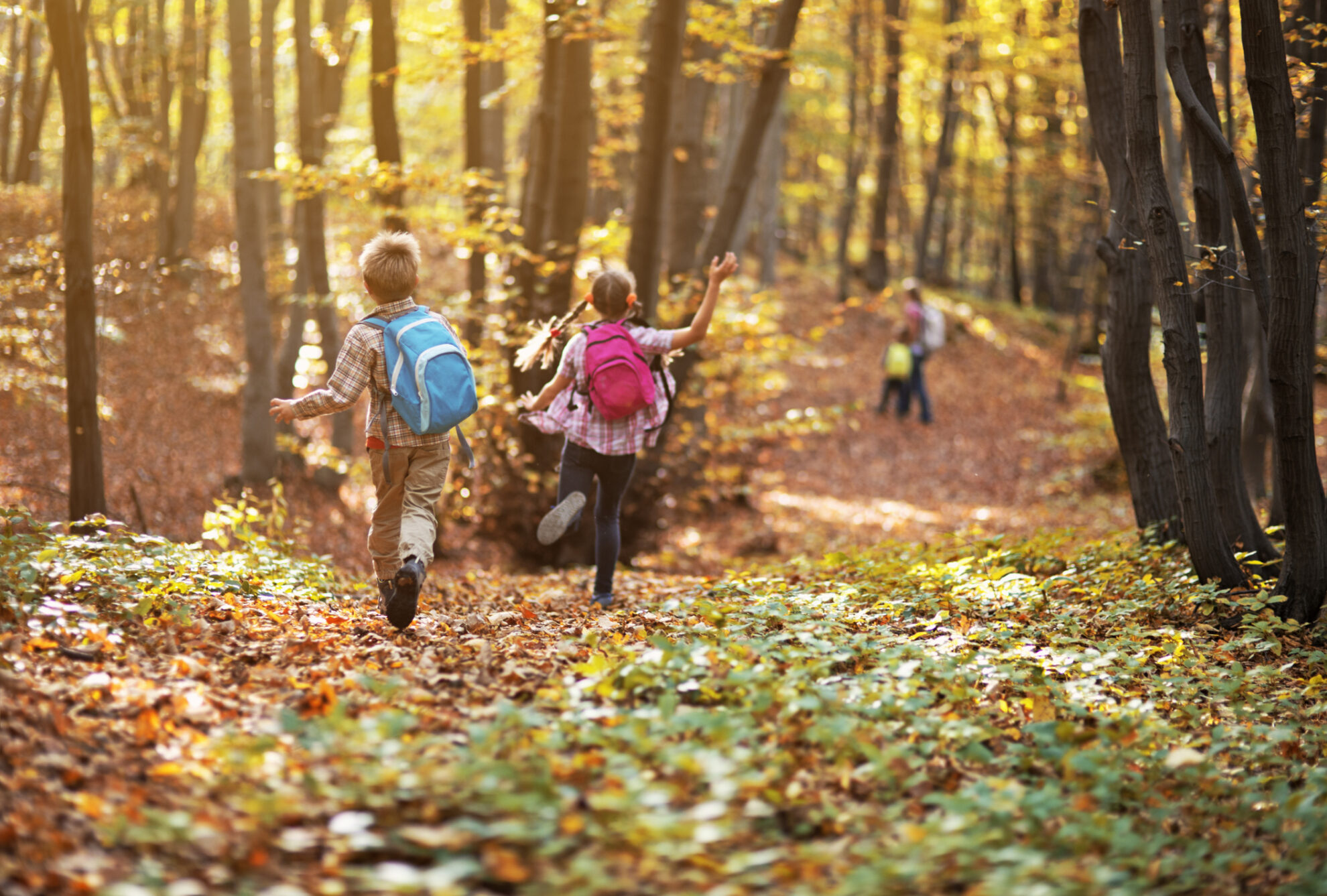 fall activities