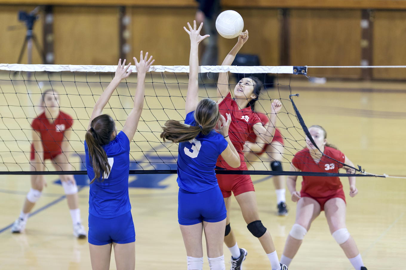 girls playing volleyball girls playing volleyball