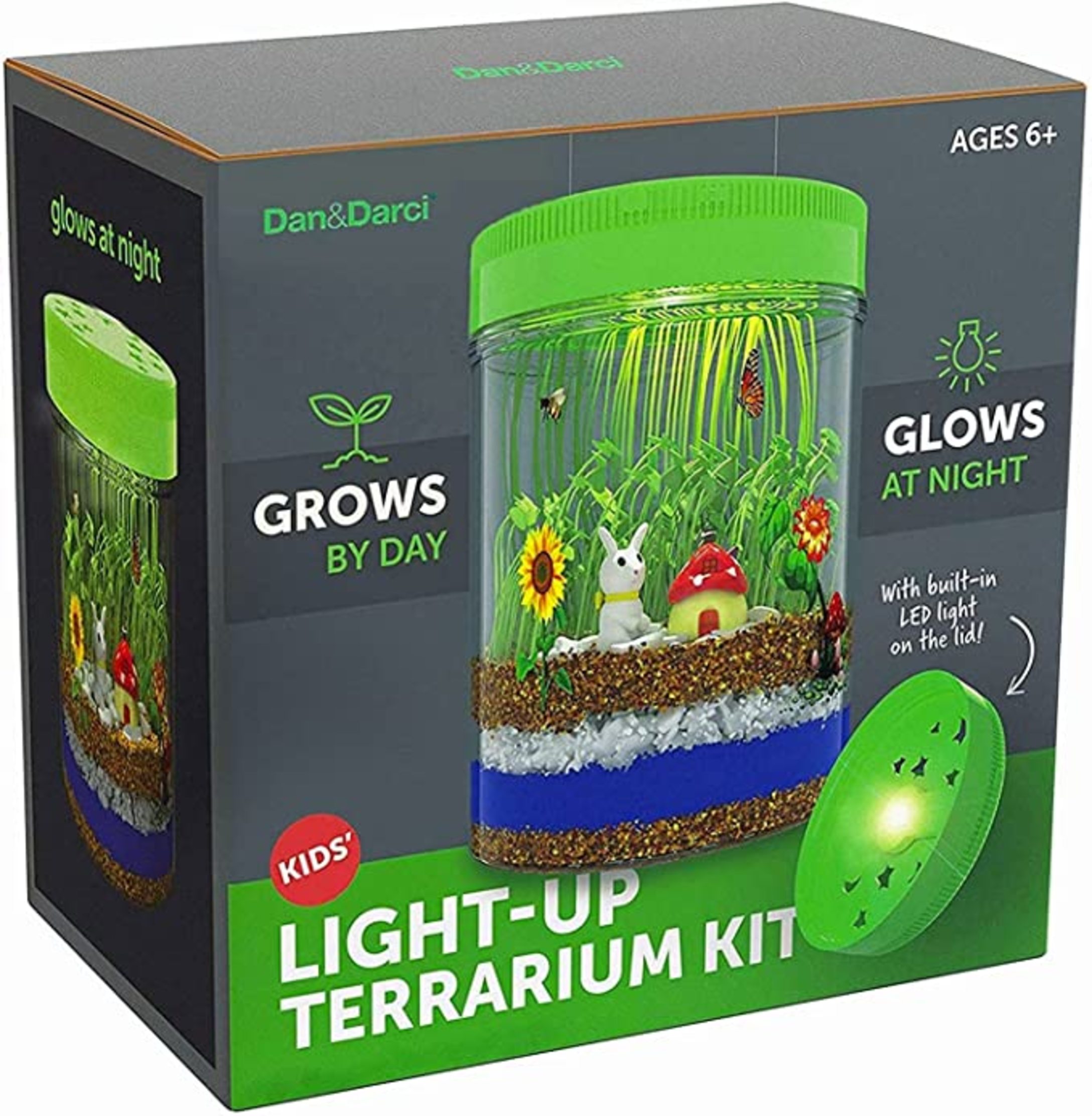 Terrarium-1.jpg Terrarium-1.jpg